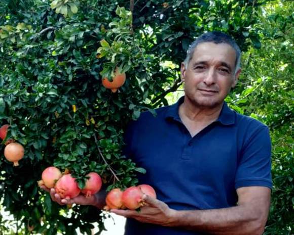 “פירות נגועים המיובאים לישראל – מסכנים את ענף הפירות”